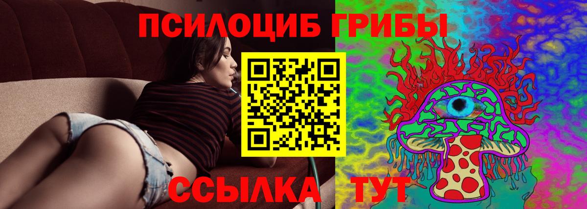 Октябрьский  Галлюциногенные грибы Psilocybe  Вход с VPN 