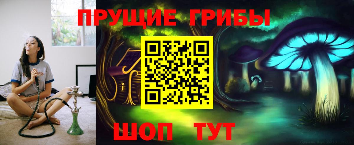 Псилоцибиновые грибы Psilocybine cubensis Октябрьский