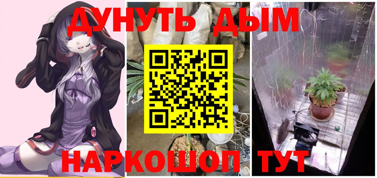 Октябрьский  Каннабис OG Kush  Марихуана Ganja  Конопля сатива  Вход с VPN  Каннабис конопля 